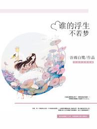 谁的繁华不如烟什么意思