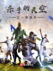 杀手的天空2